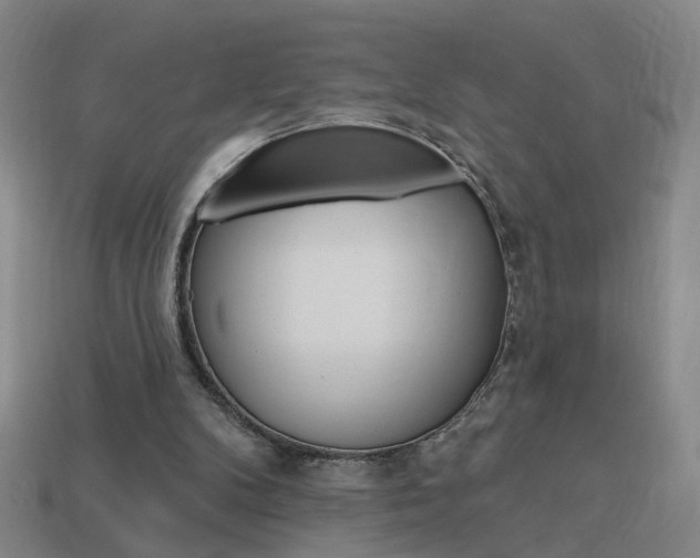 X0000113980104200910020957