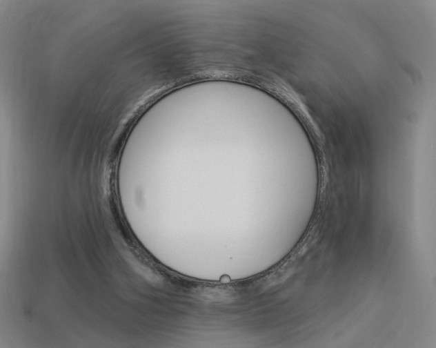 X0000113980106200910020957