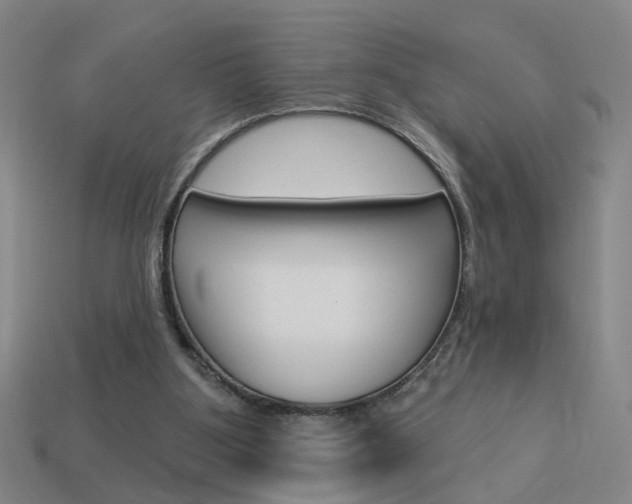 X0000113980107200910020957