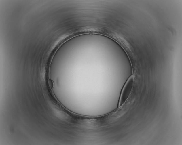X0000113980108200910020957
