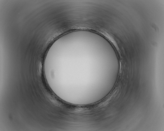 X0000113980109200910020957