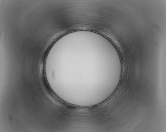 X0000113980110200910020957