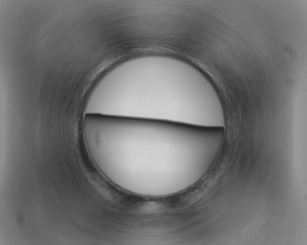 X0000113980111200910020957