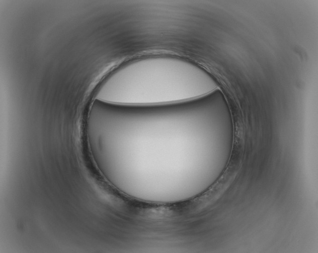 X0000113980112200910020957