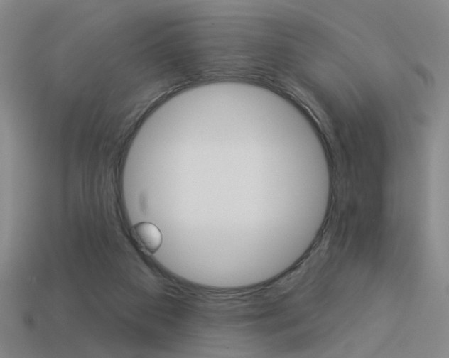 X0000113980113200910020957