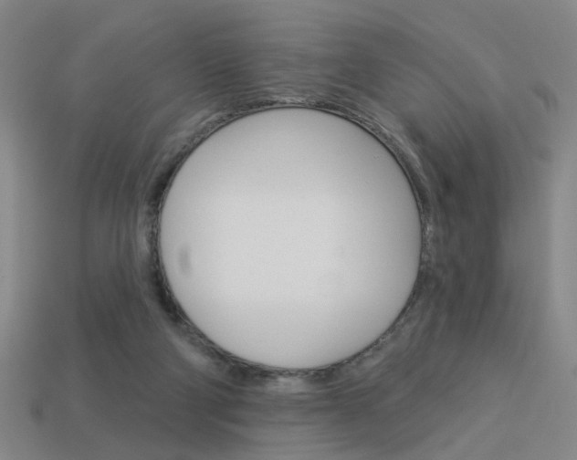 X0000113980114200910020957