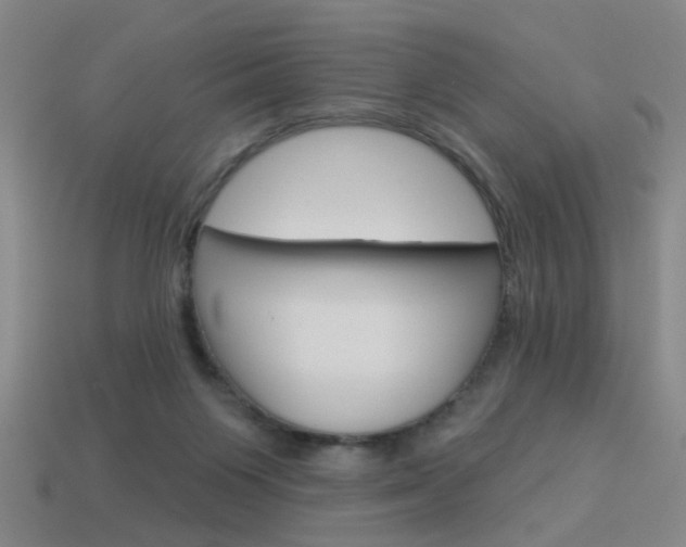 X0000113980119200910020957