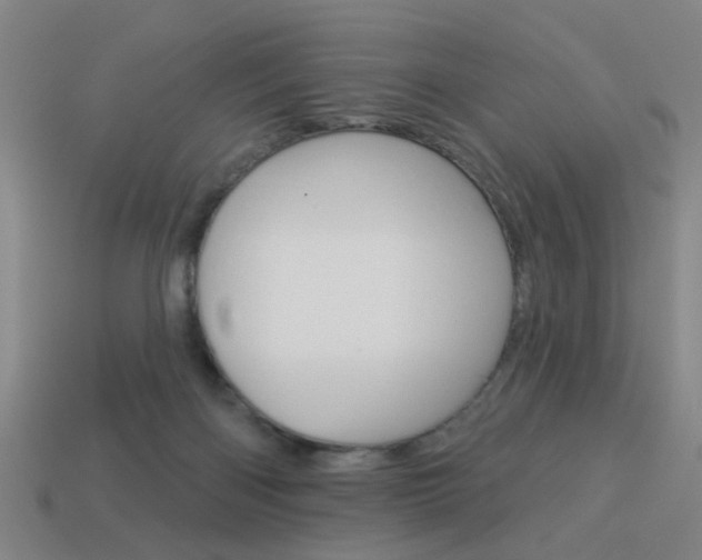 X0000113980122200910020957