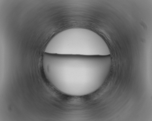 X0000113980123200910020957