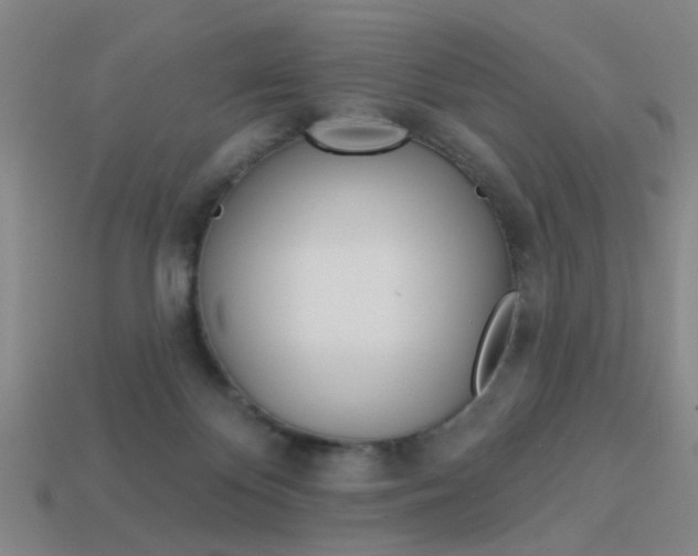 X0000113980124200910020957