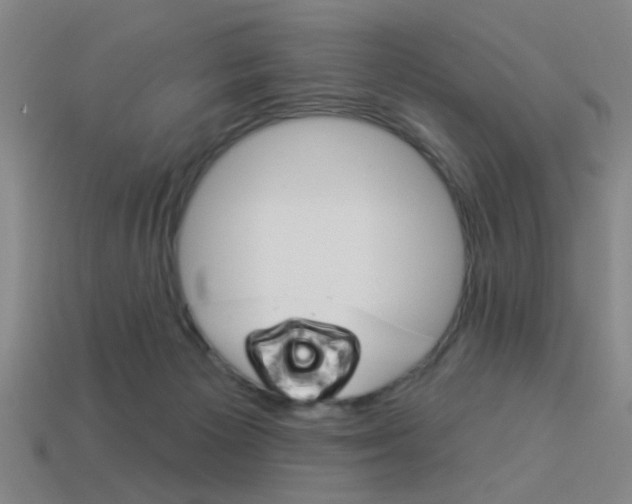 X0000113980125200910020957
