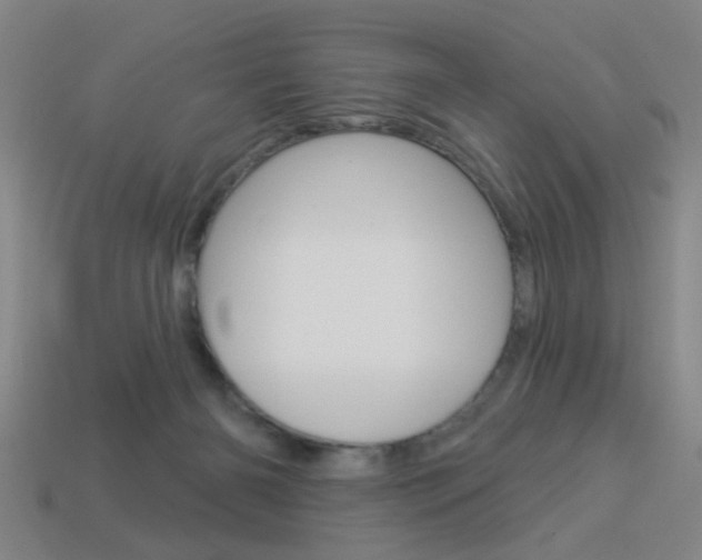 X0000113980126200910020957