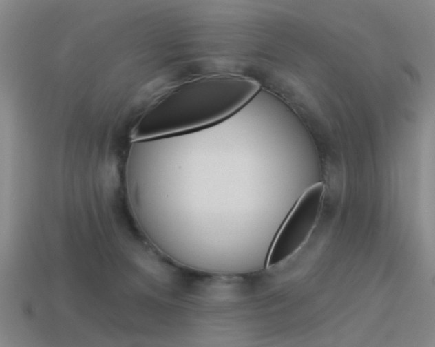 X0000113980128200910020957