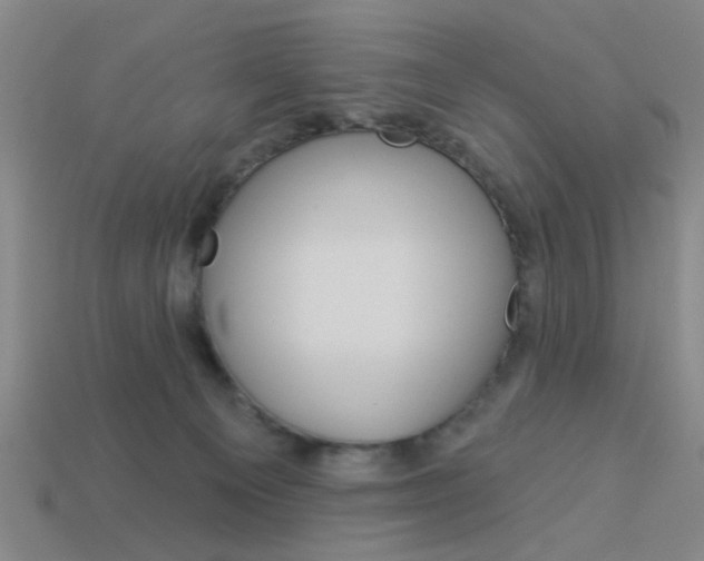 X0000113980129200910020957