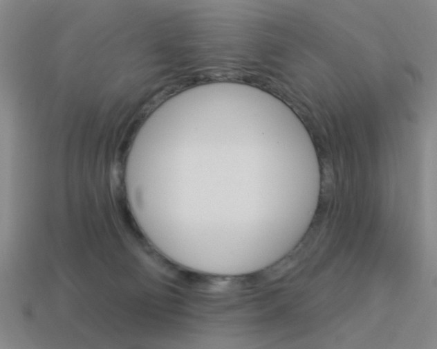 X0000113980130200910020957