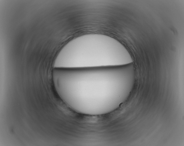 X0000113980131200910020957