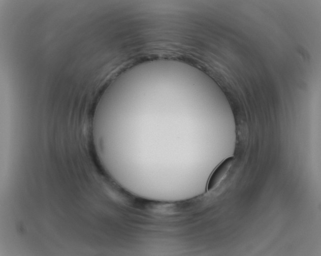 X0000113980132200910020957