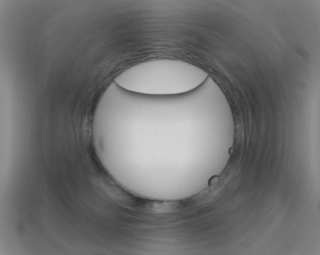 X0000113980134200910020957