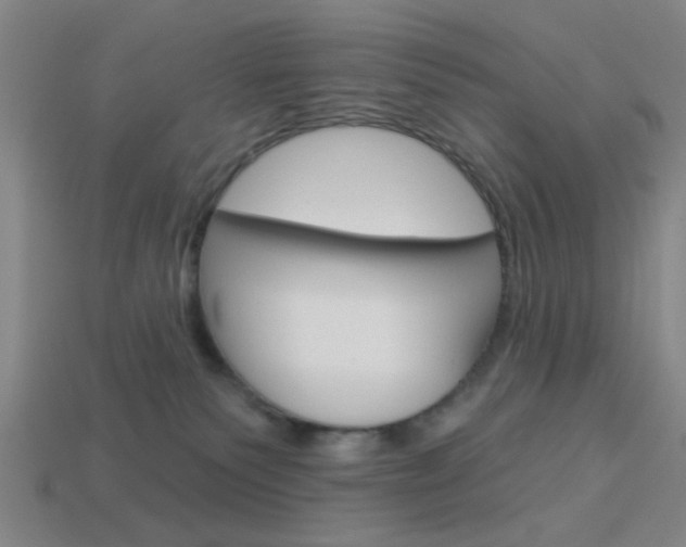 X0000113980135200910020957