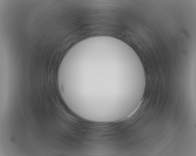 X0000113980136200910020957