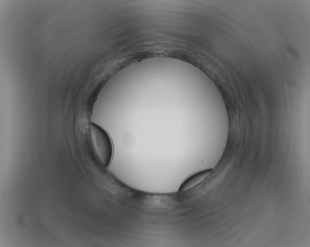 X0000113980137200910020957