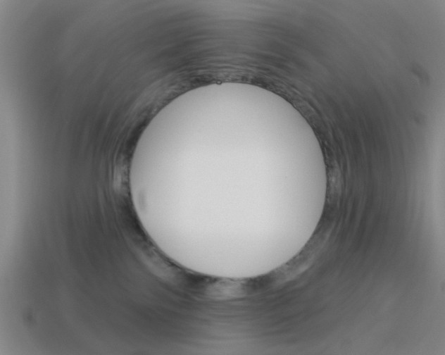 X0000113980138200910020957