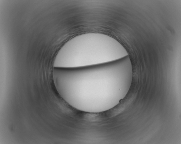 X0000113980139200910020957