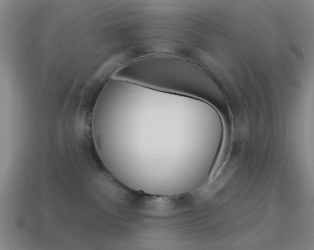 X0000113980140200910020957