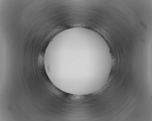 X0000113980142200910020957