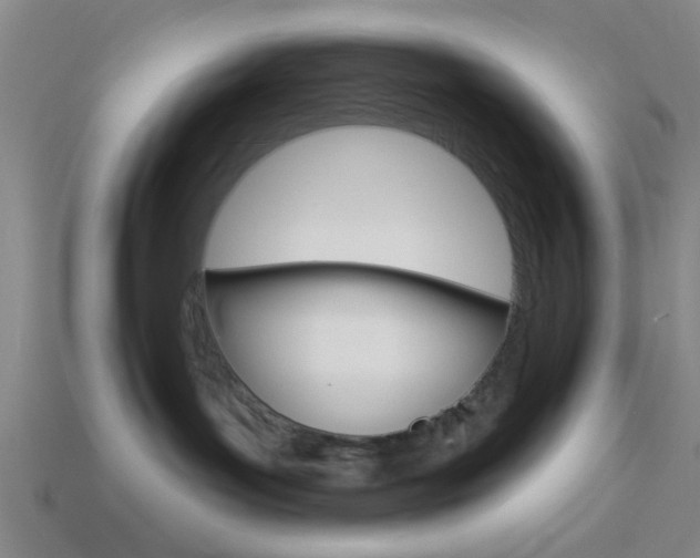 X0000113980143200910020957