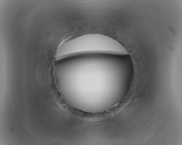 X0000113980144200910020957