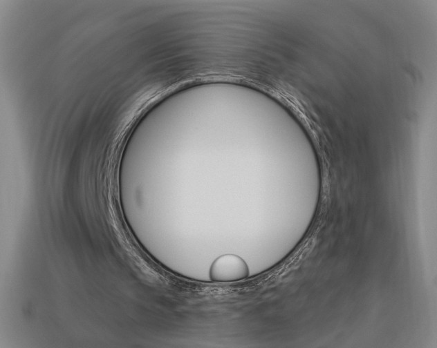 X0000113980145200910020956