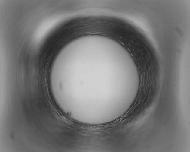X0000113980146200910020956