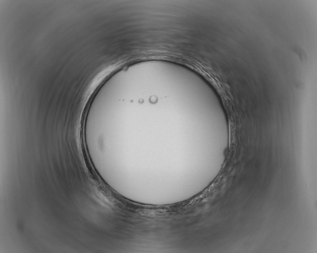 X0000113980147200910020956