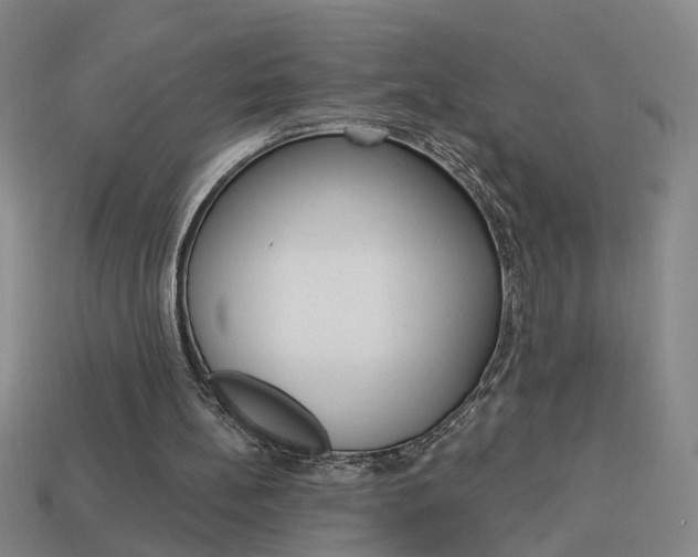 X0000113980148200910020956