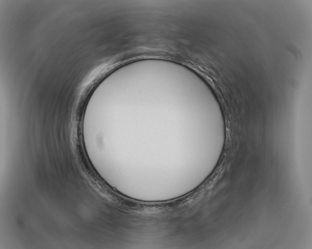 X0000113980149200910020956