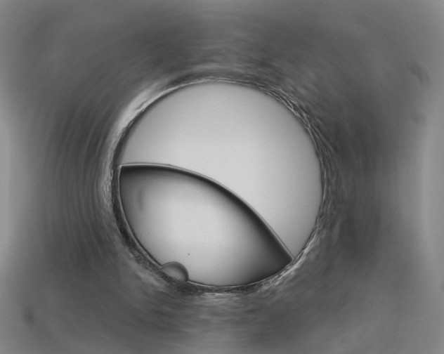 X0000113980150200910020956