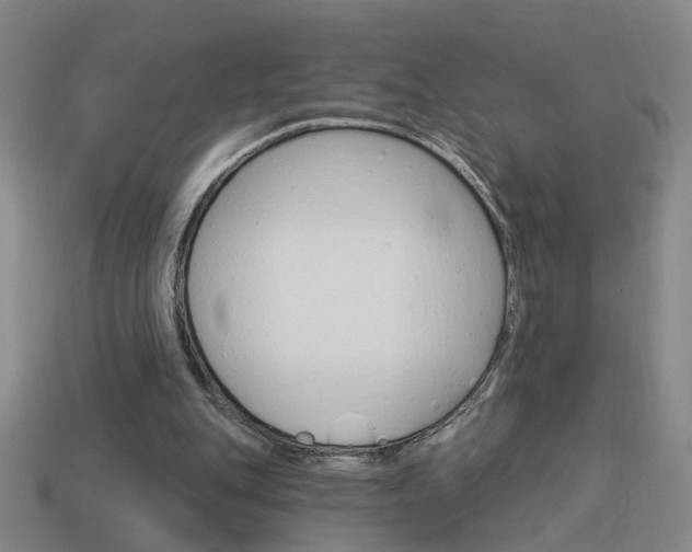 X0000113980151200910020956