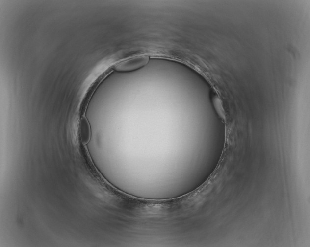 X0000113980152200910020956