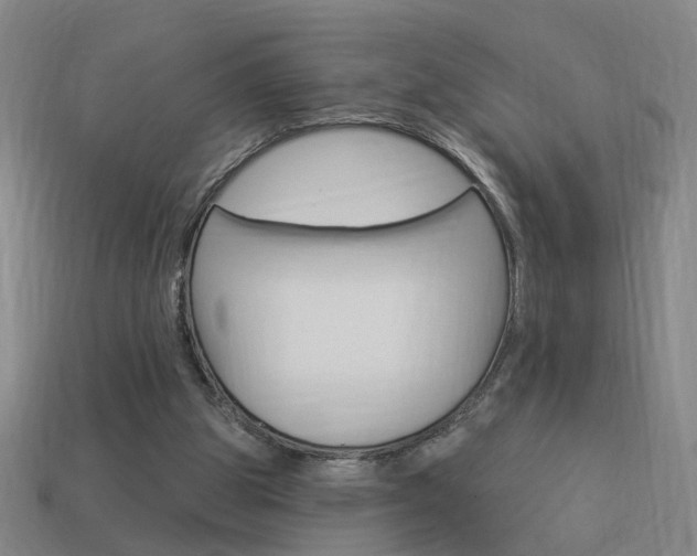 X0000113980153200910020956