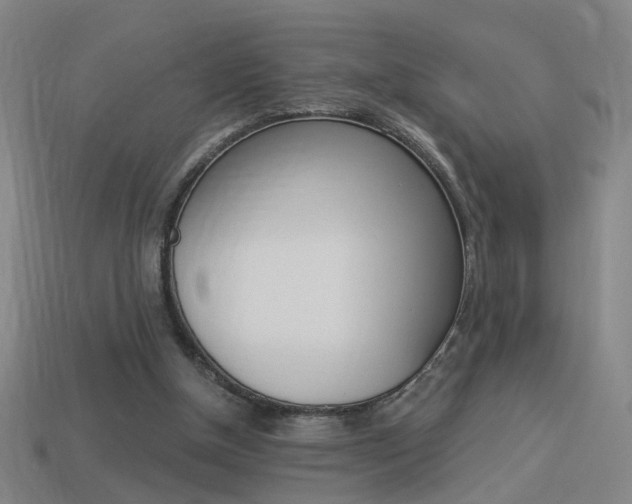 X0000113980154200910020956