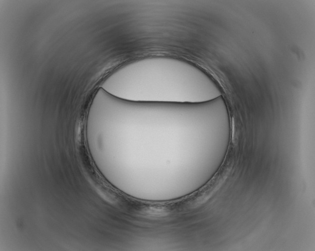 X0000113980157200910020956