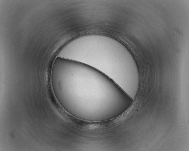 X0000113980158200910020956