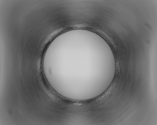 X0000113980159200910020956