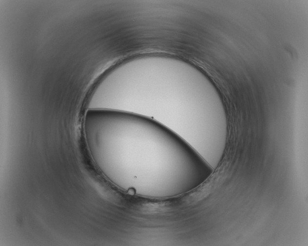 X0000113980160200910020956