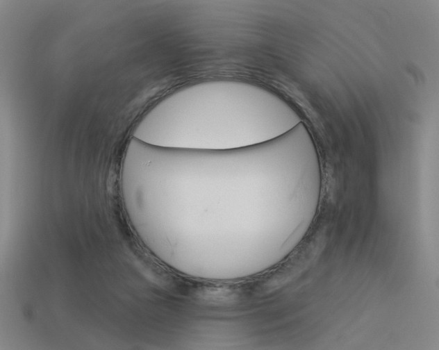X0000113980161200910020956