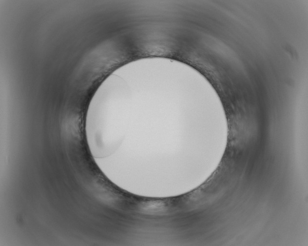 X0000113980162200910020956