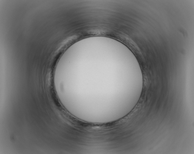 X0000113980163200910020956