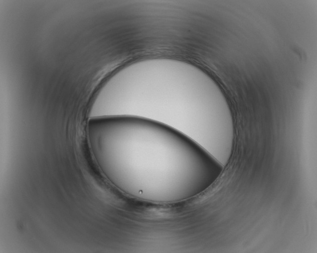 X0000113980164200910020956