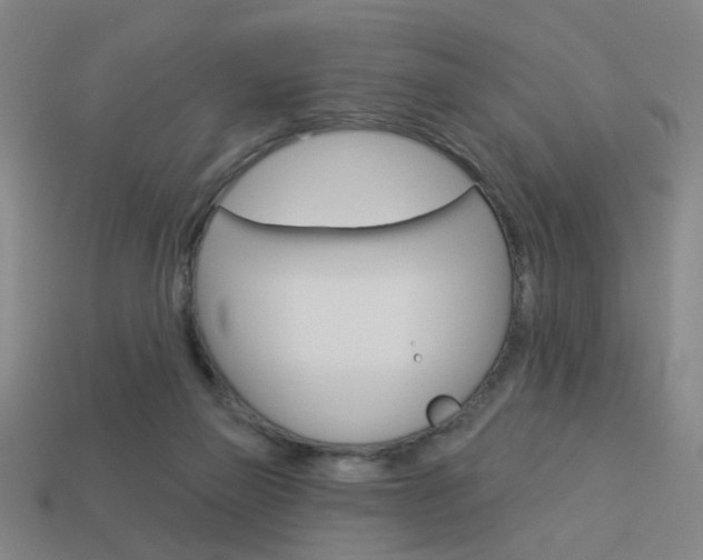 X0000113980165200910020956